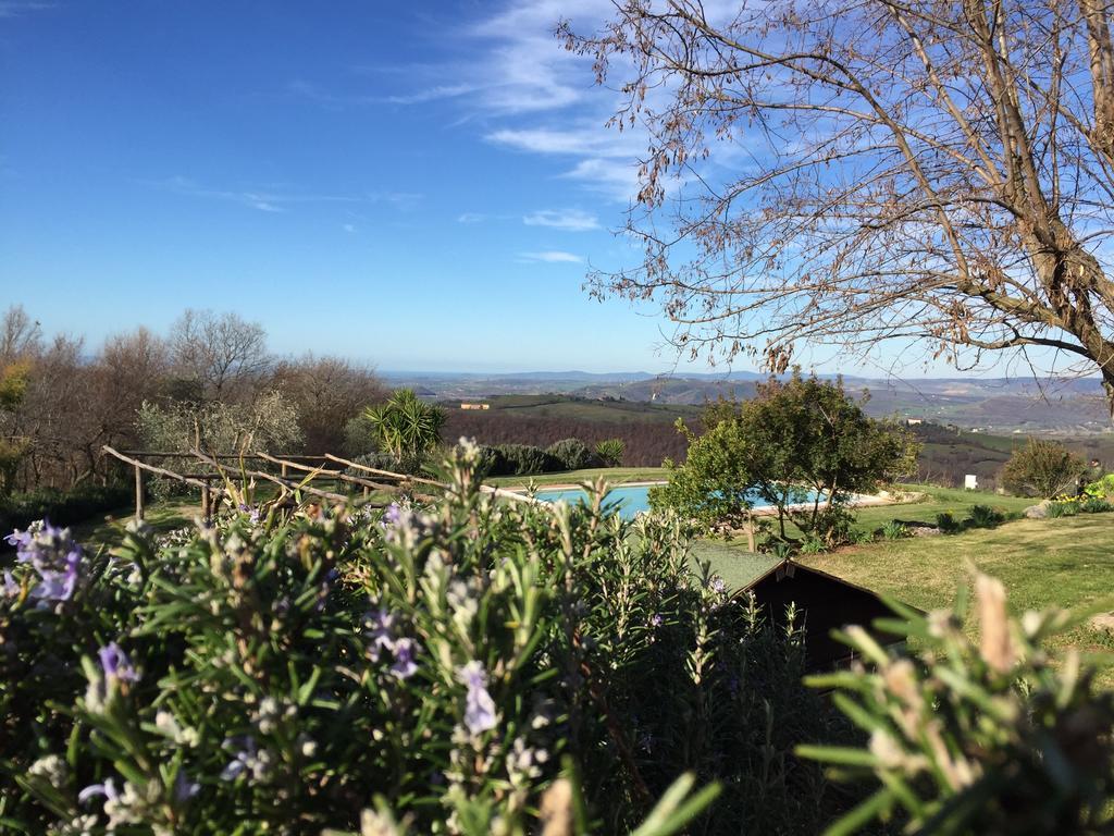 Agriturismo Podere S. Croce Saturnia Dış mekan fotoğraf