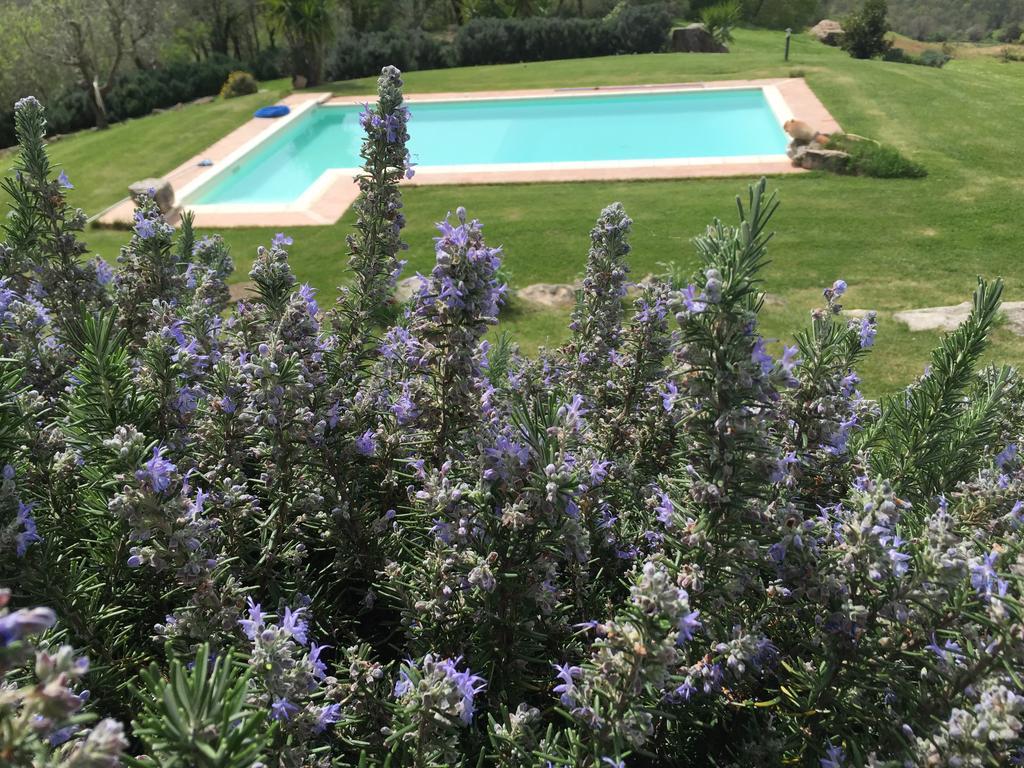 Agriturismo Podere S. Croce Saturnia Dış mekan fotoğraf