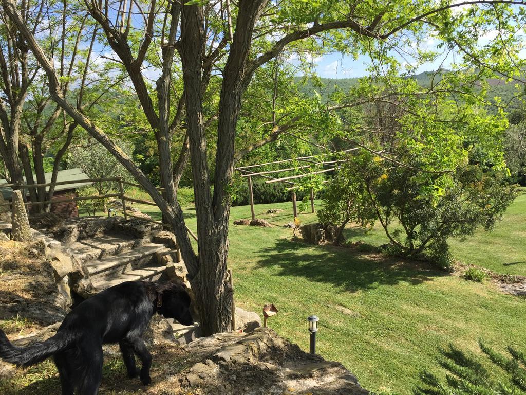 Agriturismo Podere S. Croce Saturnia Dış mekan fotoğraf